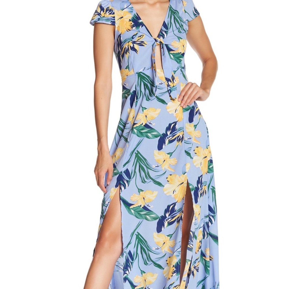 NWOT Love+Harmony Floral Maxi Dress from F21